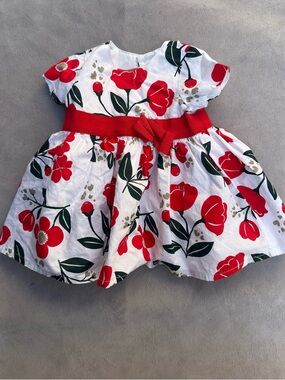 Carter's White Dress with Red Floral Print and Green Leaves